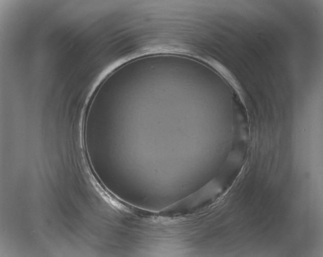 X0000079331246200612011900