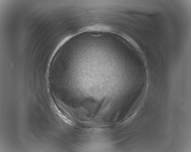 X0000079331248200612011900
