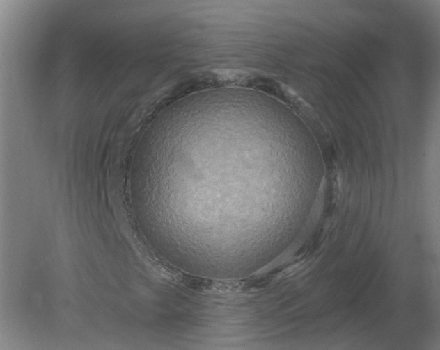 X0000079331249200612011859