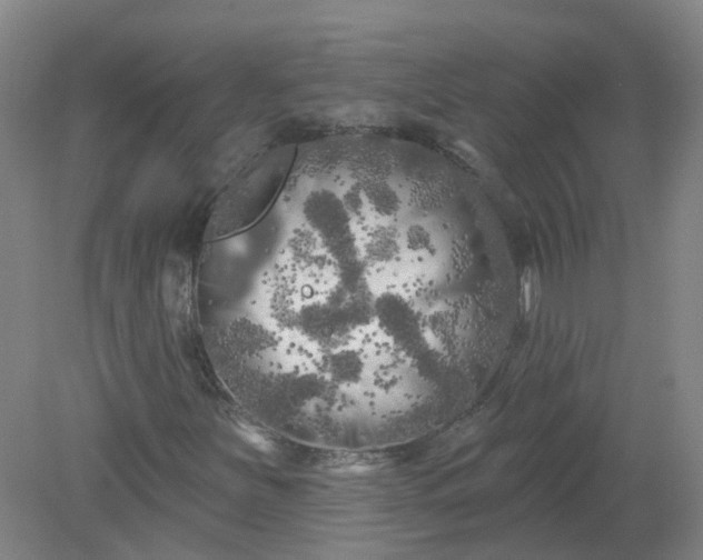 X0000079331251200612011859