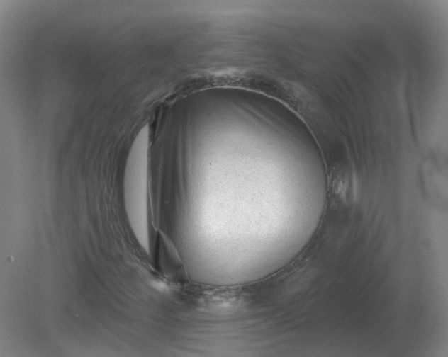 X0000079331252200612011859