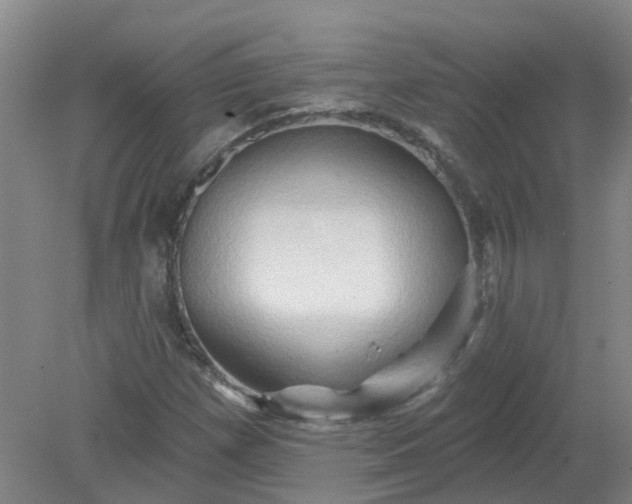 X0000079331257200612011859