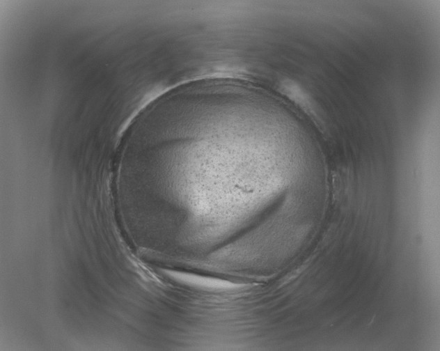 X0000079331260200612011859
