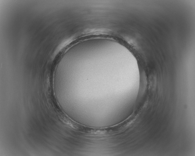 X0000079331261200612011859