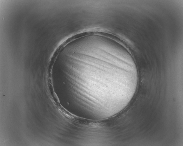 X0000079331264200612011859