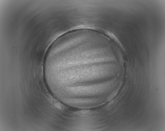X0000079331268200612011858