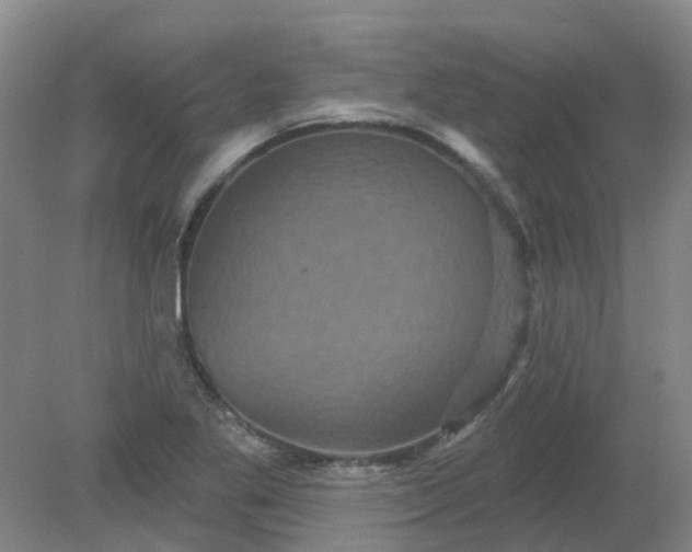 X0000079331269200612011858