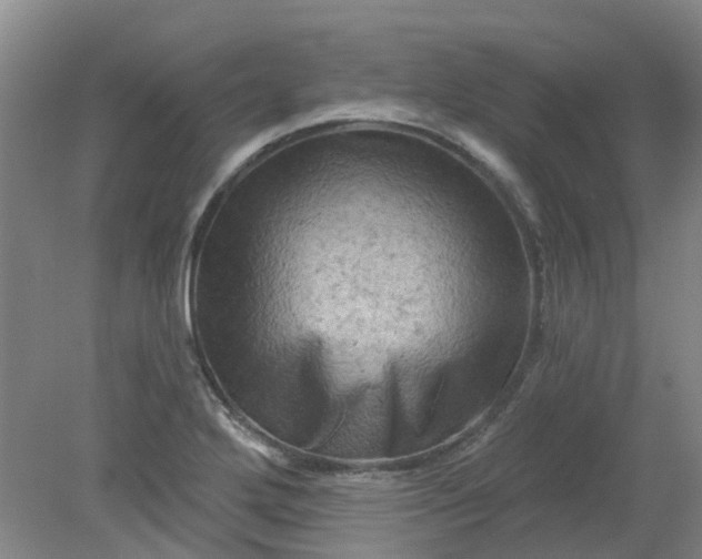 X0000079331272200612011858