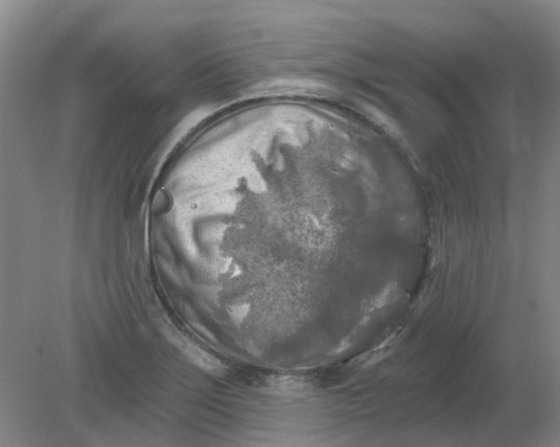 X0000079331275200612011858