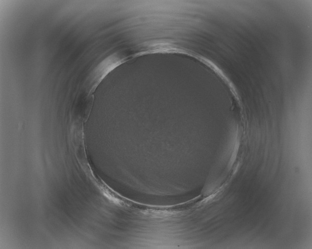 X0000079331289200612011858