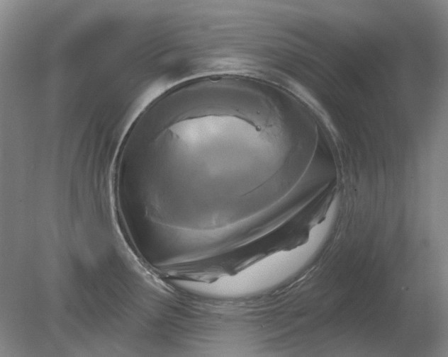 X0000079331291200612011858