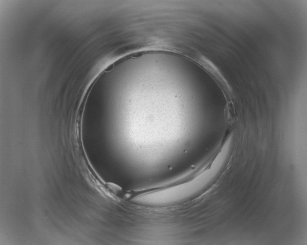 X0000079331292200612011858