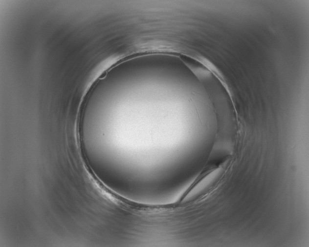 X0000079331293200612011858