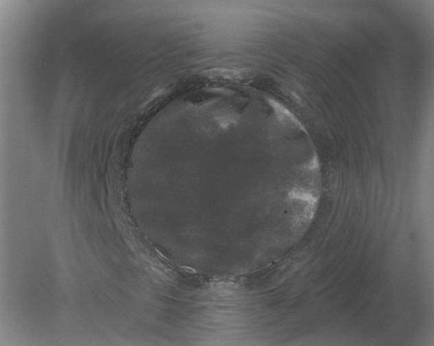 X0000079331297200612011857