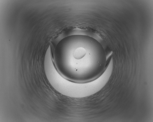 X0000079331298200612011857