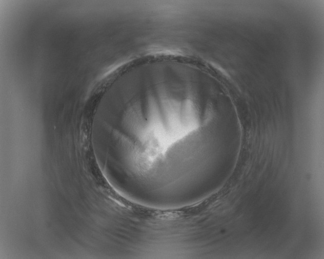 X0000079331303200612011857