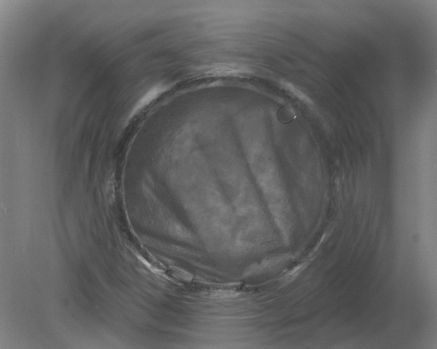 X0000079331306200612011857