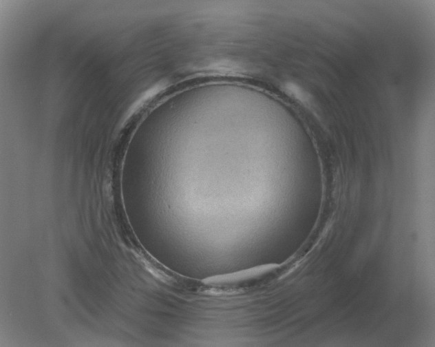 X0000079331307200612011857