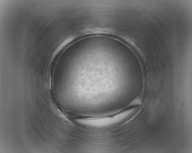 X0000079331317200612011858