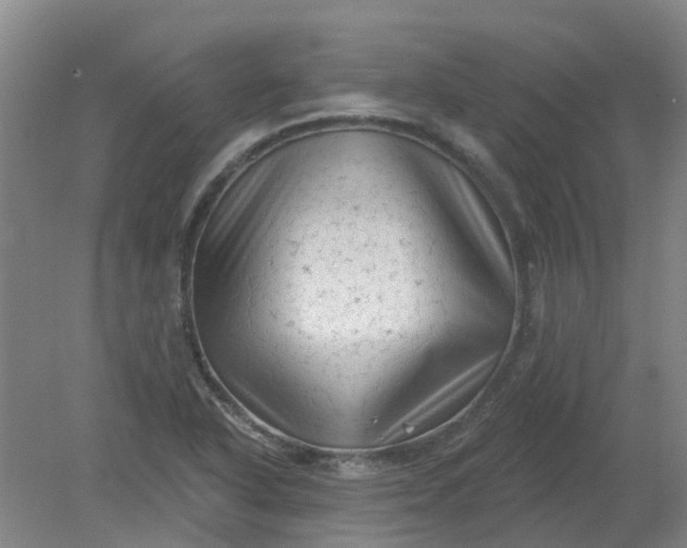 X0000079331318200612011858