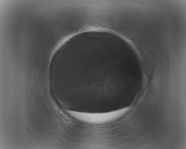 X0000079331319200612011858