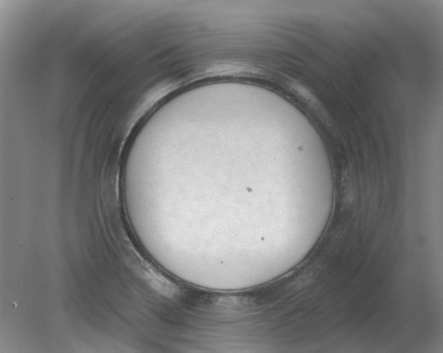X0000079331322200612011858