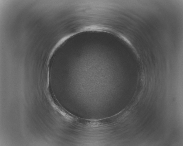 X0000079331323200612011858