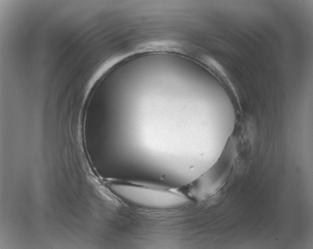X0000079331336200612011858
