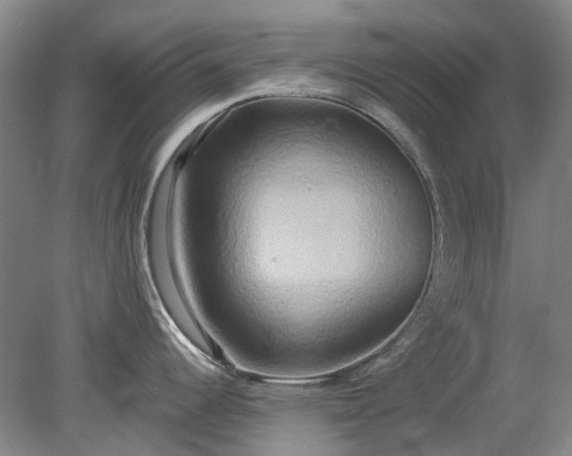 X0000079331344200612011858