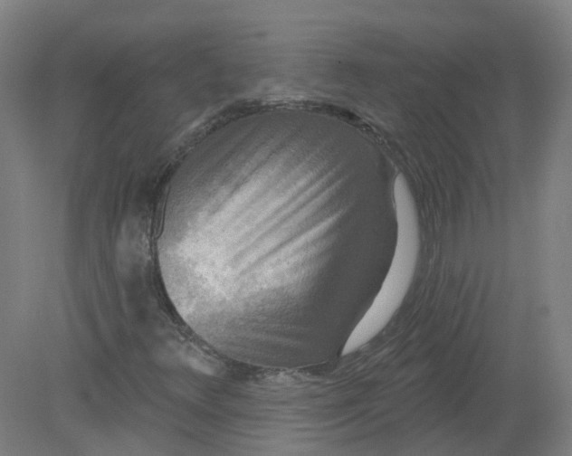X0000079331348200612011857