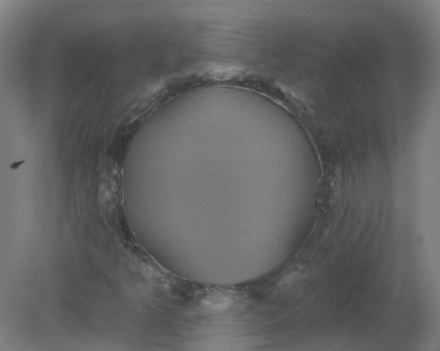 X0000079331349200612011857