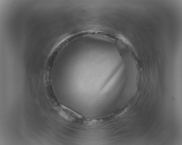 X0000079331352200612011857