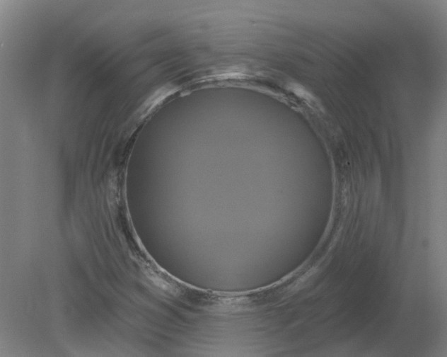 X0000079331353200612011857