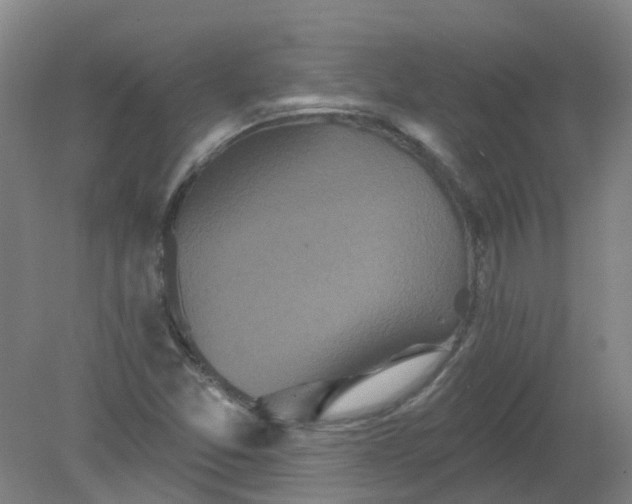 X0000079331357200612011857