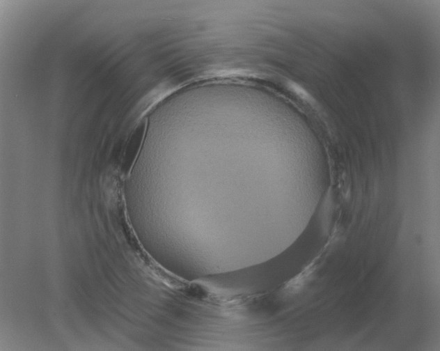 X0000079331361200612011857