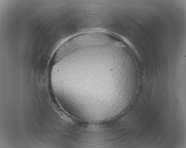 X0000079331364200612011857