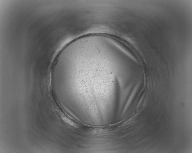 X0000079331366200612011857