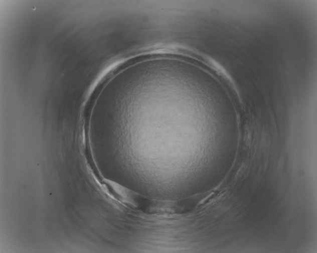 X0000079331368200612011857