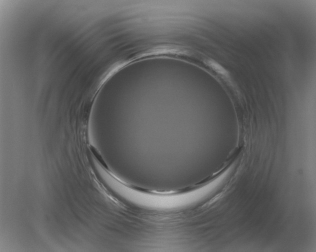 X0000079331369200612011857