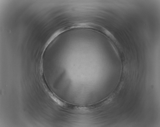 X0000079331370200612011857