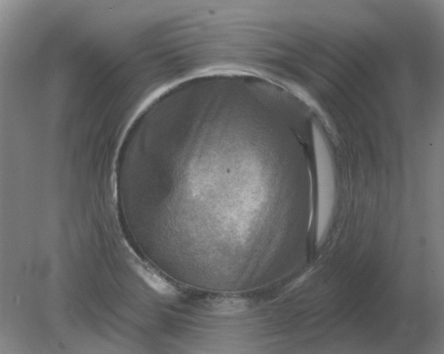 X0000079331372200612011857