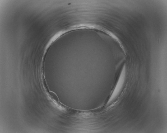 X0000079331373200612011857
