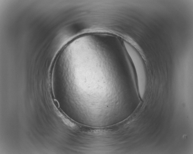 X0000079331380200612011857