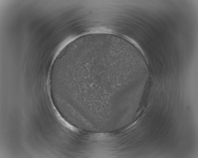 X0000079331387200612011856