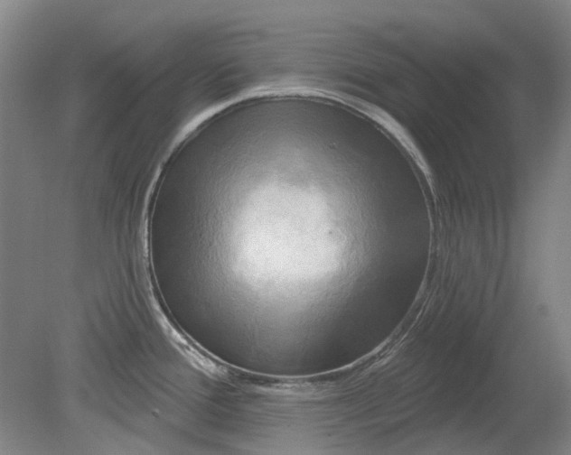 X0000079331388200612011856