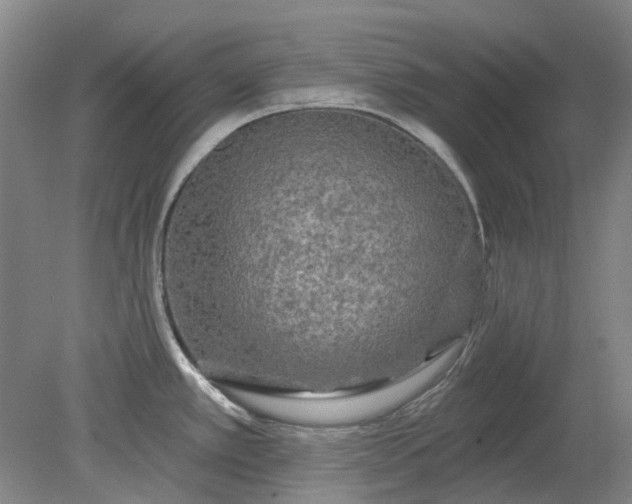 X0000079331389200612011856