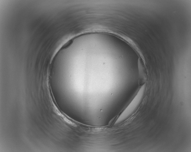 X0000079331390200612011856