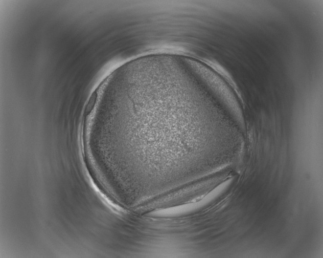 X0000079331391200612011856
