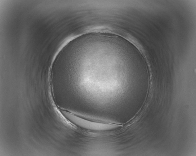 X0000079331392200612011856