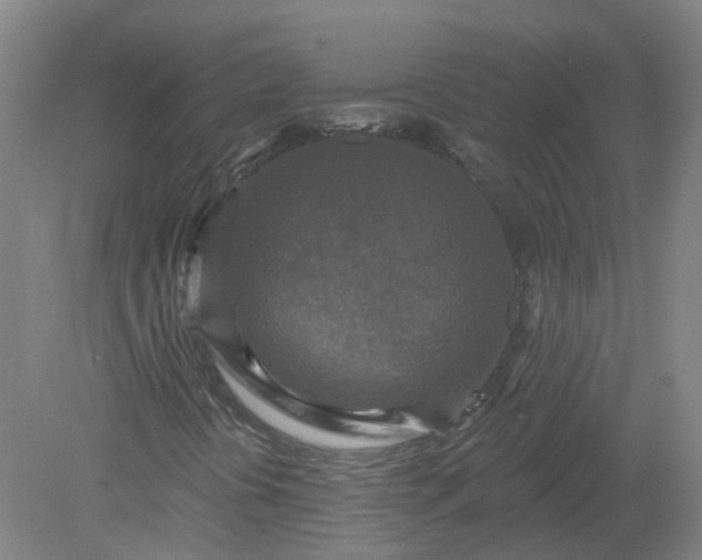 X0000079331394200612011856
